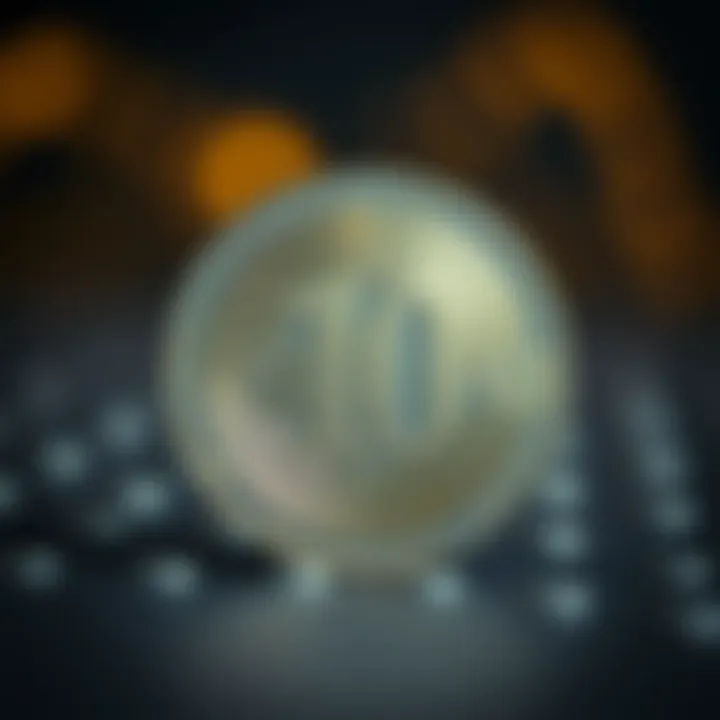 Notable 10 USDT의 가치와 활용 방안 탐구