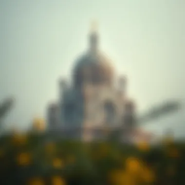 Magnificent 코인베이스주가의 분석과 전망 Magnificent 코인베이스주가의 분석과 전망