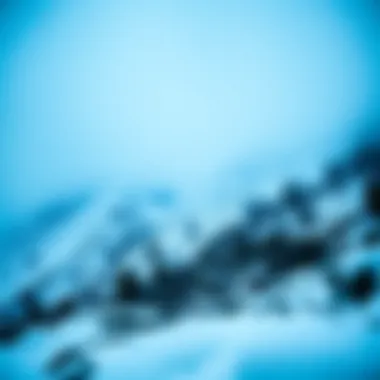 Notable Avalanche Subnet의 이해와 활용