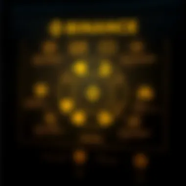 Diagram depicting user experience on the Binance platform