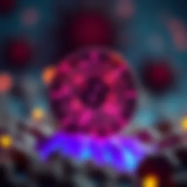 Ecosystem Structure of Celestia Coin Ecosystem structure of Celestia coin