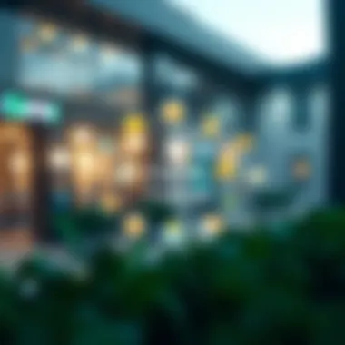 Illustration of Curve Finance's ecosystem