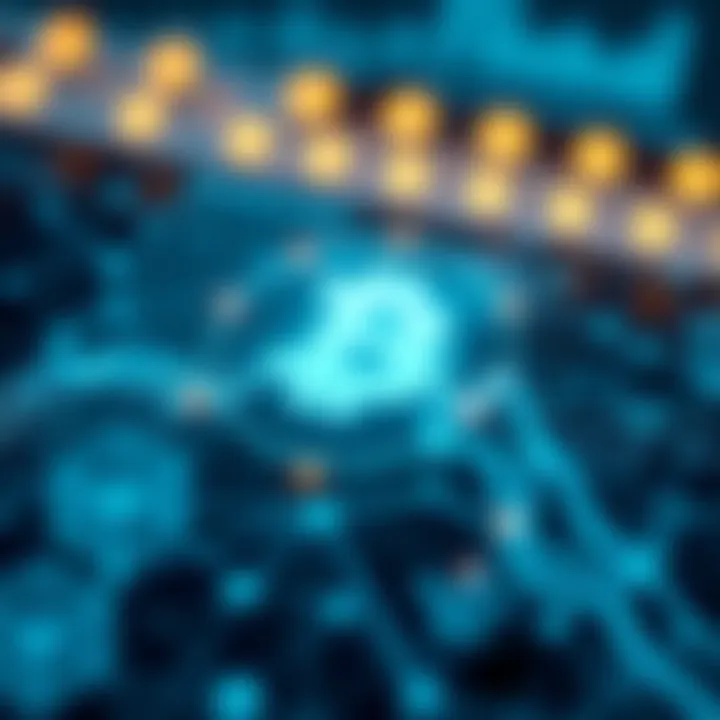 Data Transparency in Blockchain Infographic depicting data transparency in blockchain applications