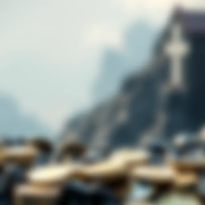 Visualization of investment opportunities in digital assets