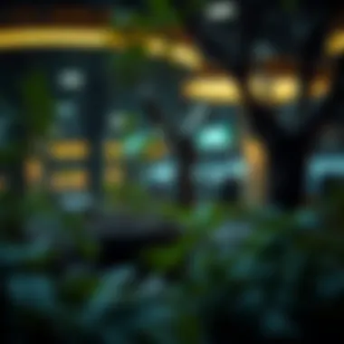 Future potential of Hedera