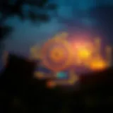 Understanding the Ignis Ecosystem