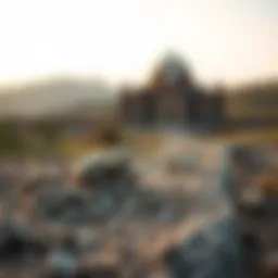 시바 이누 골드: 투자와 시장의 시각 Introduction