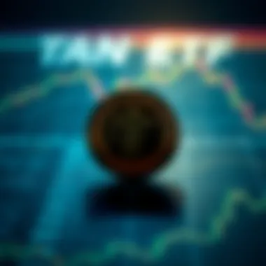 Pros and Cons of TAN ETF Illustration of the advantages and disadvantages of TAN ETF