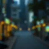 톤코인 전망 Introduction